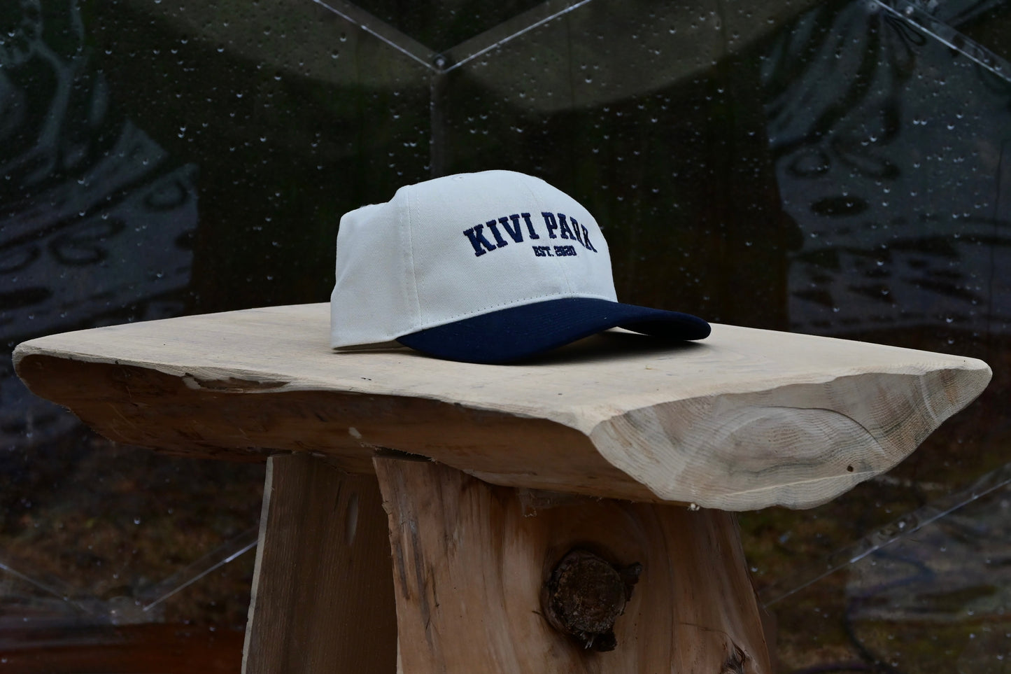Kivi Park- Navy and Beige Ball Cap