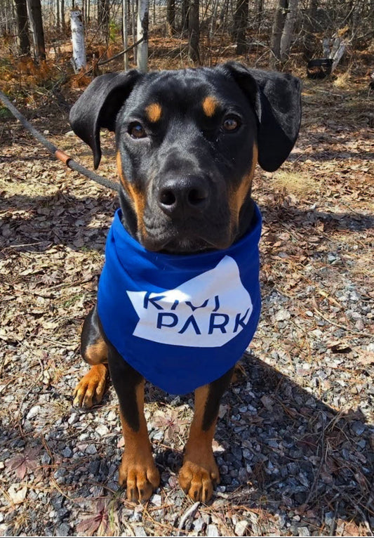 Dog Bandana